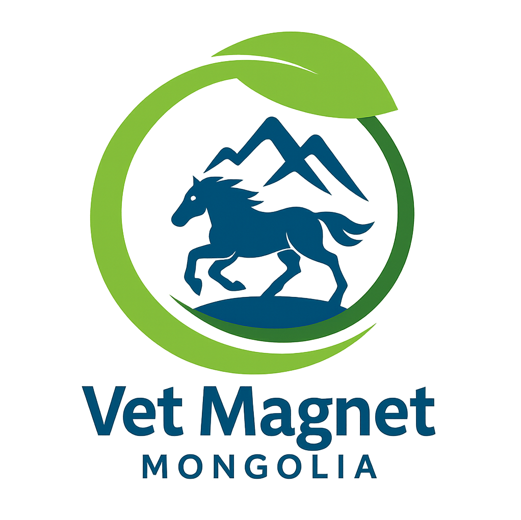 vetmagnetmongolia.com